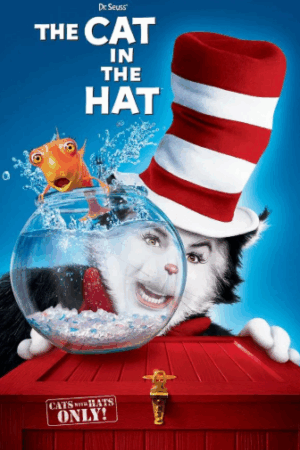 Şapkalı Kedi